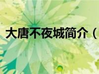 大唐不夜城简介（大唐DT120-全网通简介）