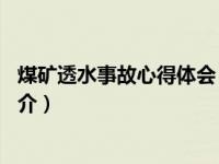 煤矿透水事故心得体会（74湖南耒阳茄莉冲煤矿透水事故简介）