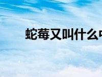 蛇莓又叫什么中药（蛇莓-中药简介）