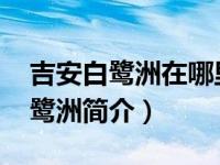 吉安白鹭洲在哪里（白鹭洲-江西省吉安市白鹭洲简介）