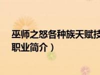 巫师之怒各种族天赋技能（裁决者-游戏《巫师之怒》中的职业简介）
