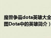 魔兽争霸dota英雄大全（流浪剑客-《魔兽争霸3》自定义地图Dota中的英雄简介）