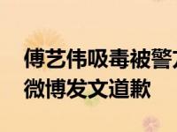 傅艺伟吸毒被警方抓获视频曝光 傅艺伟儿子微博发文道歉