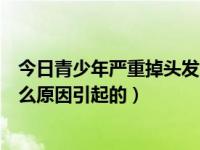 今日青少年严重掉头发的最佳调养大全（青少年掉头发是什么原因引起的）