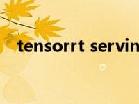 tensorrt serving（TensorServer简介）