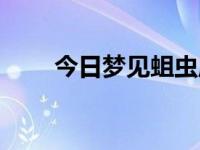 今日梦见蛆虫周公解梦（梦见蛆虫）