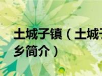 土城子镇（土城子乡-黑龙江省依兰县土城子乡简介）