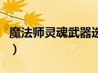 魔法师灵魂武器选择（灵魂魔法师无敌版简介）
