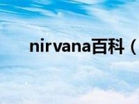 nirvana百科（Nirvana in Fire简介）