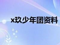 x玖少年团资料 简介（X玖少年团简介）