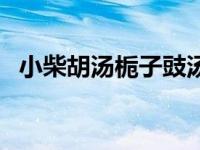 小柴胡汤栀子豉汤（小柴胡加栀子汤简介）