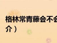 格林常青藤会不会被划出学区（格林常青藤简介）