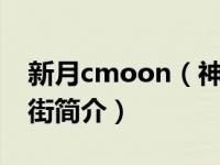 新月cmoon（神秘怪客的远古恋情新月十二街简介）