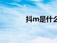 抖m是什么意思（抖M简介）