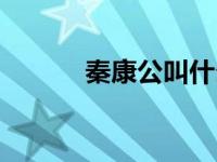 秦康公叫什么名字（秦康简介）