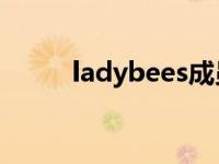 ladybees成员（Ladybees简介）