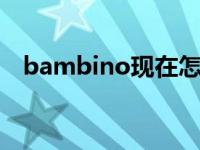 bambino现在怎么样了（Bambini简介）