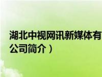 湖北中视网讯新媒体有限公司（武汉中视网盟电子商务有限公司简介）