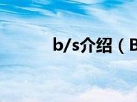 b/s介绍（B.S. Survivah简介）