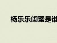 杨乐乐闺蜜是谁 竟然骗了汪涵家788万