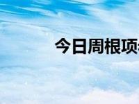 今日周根项老师讲课（周根项）