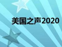 美国之声2020（美国之声第三季简介）