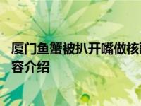 厦门鱼蟹被扒开嘴做核酸 此做法引起争议！具体情况详细内容介绍