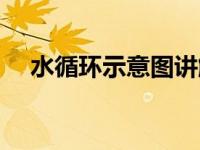 水循环示意图讲解（水循环示意图高清）