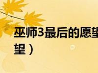 巫师3最后的愿望上船不动（巫师3最后的愿望）