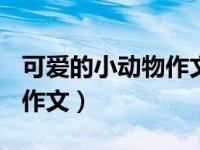 可爱的小动物作文300字左右（可爱的小动物作文）