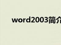 word2003简介（sword world简介）