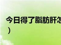 今日得了脂肪肝怎么办呢（得了脂肪肝怎么办）