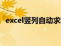 excel竖列自动求和（excel怎么自动求和）