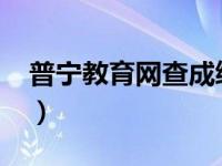 普宁教育网查成绩2023（普宁教育网查成绩）