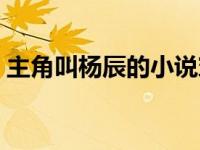 主角叫杨辰的小说穿越（主角叫杨辰的小说）