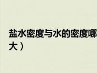 盐水密度与水的密度哪个大（盐水的密度和水的密度哪一个大）