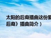 太阳的后裔插曲这份爱中文翻译（这份爱-电视剧《太阳的后裔》插曲简介）