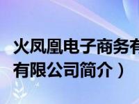 火凤凰电子商务有限公司（湖南火凰网络科技有限公司简介）