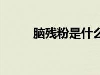 脑残粉是什么（脑残粉是啥意思）