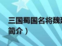 三国蜀国名将魏延（魏延-三国时期蜀汉名将简介）