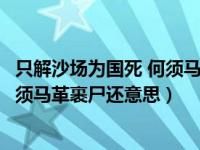 只解沙场为国死 何须马革裹尸还的意思（只解沙场为国死何须马革裹尸还意思）