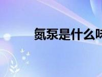 氮泵是什么味道的（氮泵是什么）