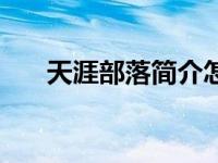 天涯部落简介怎么写（天涯部落简介）