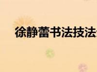 徐静蕾书法技法分析（徐静蕾书法技法）