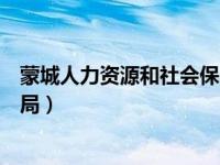 蒙城人力资源和社会保障局局长（蒙城人力资源和社会保障局）