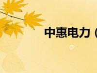中惠电力（中惠电热膜简介）