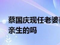 蔡国庆现任老婆秦娟图片 被传同性恋孩子是亲生的吗