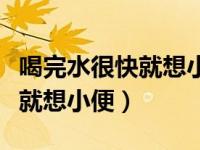 喝完水很快就想小便是糖尿病吗（喝完水很快就想小便）