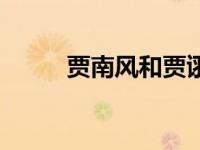 贾南风和贾诩什么关系（贾南风）