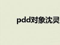 pdd对象沈灵敏照片（沈灵敏照片）